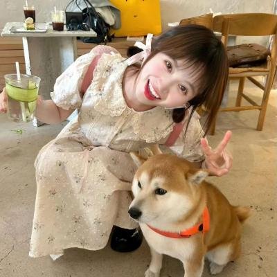 车队海报