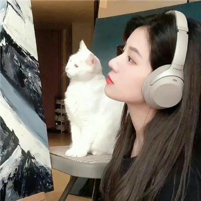 香椿海报